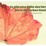 Herbst-Laub mit dem von Hofmannsthal Zitat: Es gibt eine Stille des Herbstes bis in die Farben hinein. Hugo von Hofmannsthal