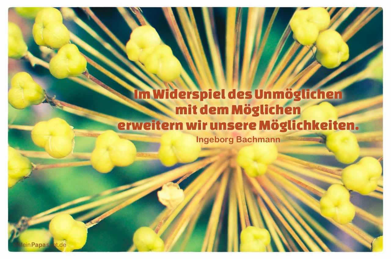 Pflanze mit dem Bachmann Zitat: Im Widerspiel des Unmöglichen mit dem Möglichen erweitern wir unsere Möglichkeiten. Ingeborg Bachmann