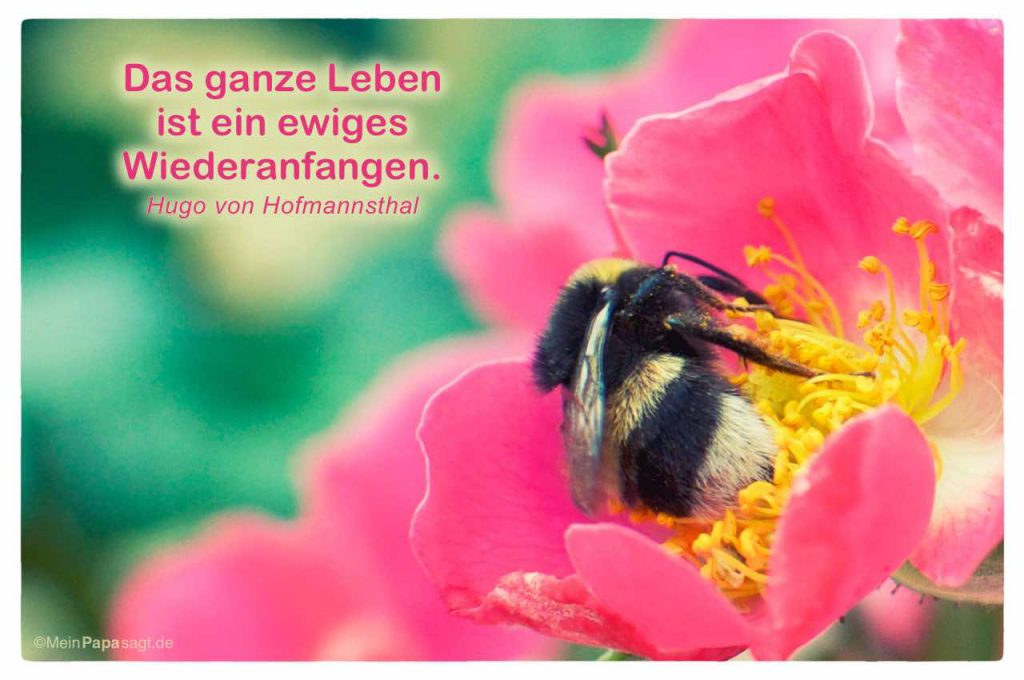Das ganze Leben ist ein ewiges Wiederanfangen Hugo von Hofmannsthal