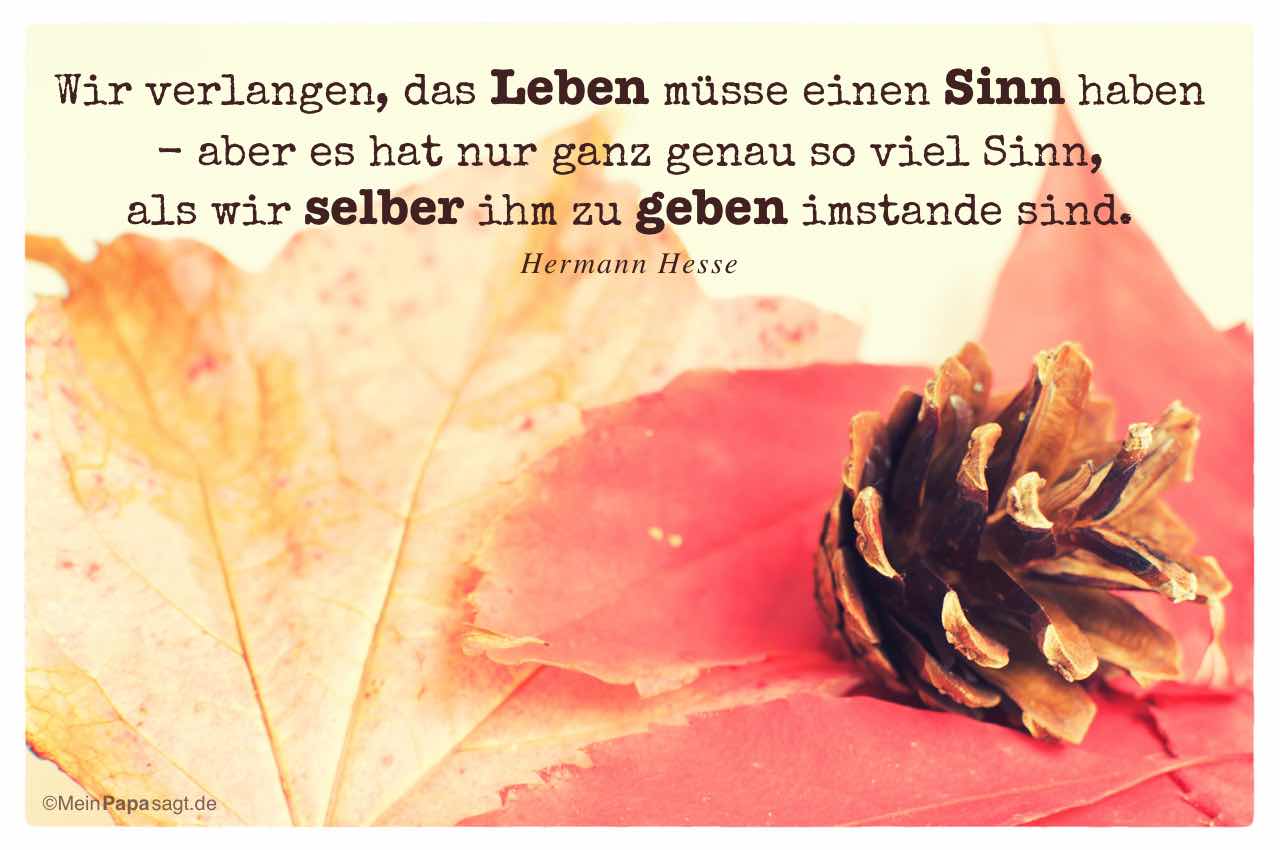Herbstlaub mit Tannenzapfen um Mein Papa sagt Hesse Zitate Bilder: Wir verlangen, das Leben müsse einen Sinn haben - aber es hat nur ganz genau so viel Sinn, als wir selber ihm zu geben imstande sind. Hermann Hesse