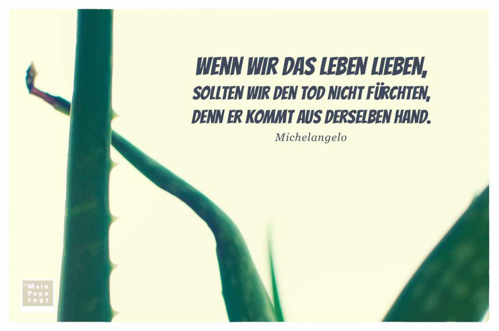 Zitate & Sprüche Bilder Galerie des Monats Dezember 2016