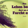 Beitragsbild - Das Leben beginnt dort wo die Furcht endet