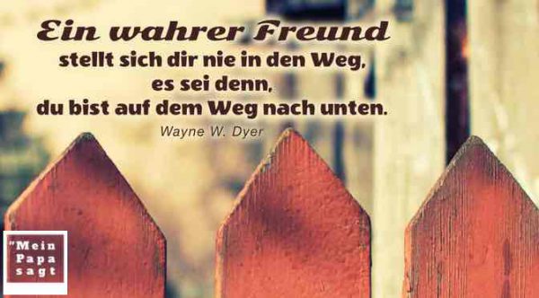 Ein wahrer Freund stellt sich dir nie in den Weg, es sei denn, du bist