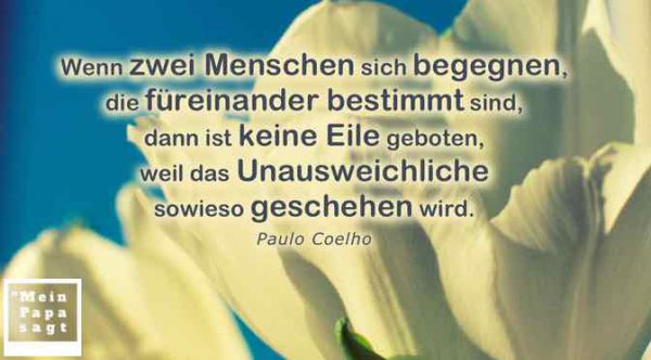 Wenn Zwei Menschen Füreinander Bestimmt Sind Sprüche