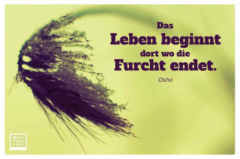 Mein Papa sagt Das Leben beginnt dort wo die Furcht endet Osho