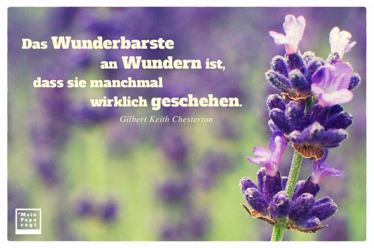 Das Wunderbarste an Wundern ist, dass sie manchmal wirklich geschehen