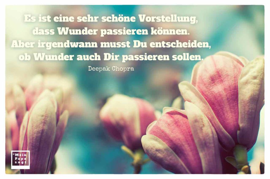 Zitate & Sprüche Bilder Galerie des Monats Mai 2017