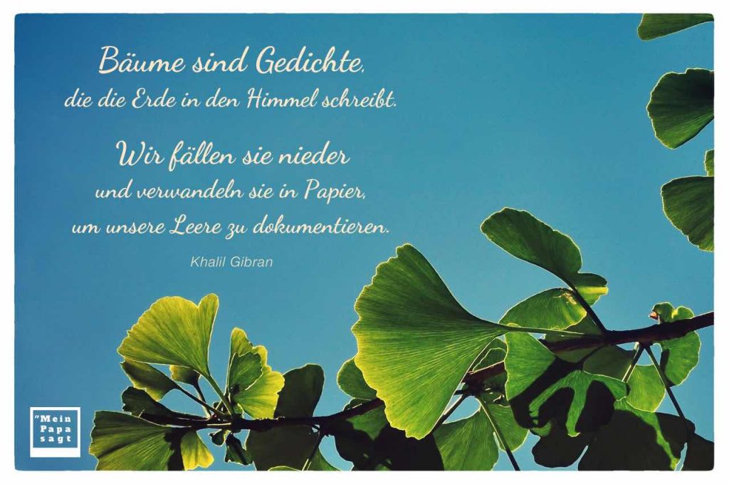 Bäume sind Gedichte, die die Erde in den Himmel schreibt. Wir fällen