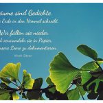 Ginkgo-Baum mit dem Gibran Zitat: Bäume sind Gedichte, die die Erde in den Himmel schreibt. Wir fällen sie nieder und verwandeln sie in Papier, um unsere Leere zu dokumentieren. Khalil Gibran