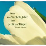 Blütenblatt mit dem Capote Zitat: Wem das Lächeln fehlt, dem fehlt ein Flügel. Truman Capote