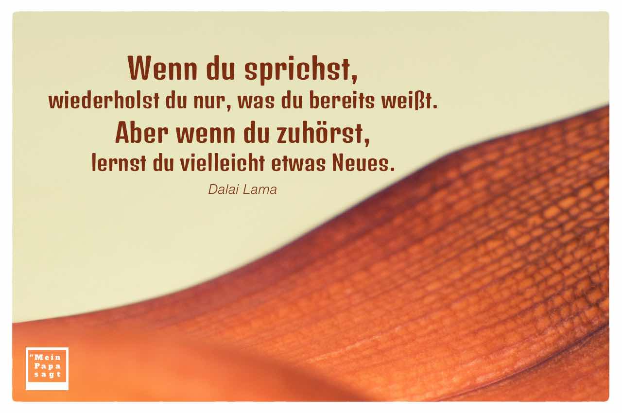getrocknetes Palmenblatt mit dem Dalai Lama Zitat: Wenn du sprichst, wiederholst du nur, was du bereits weißt. Aber wenn du zuhörst, lernst du vielleicht etwas Neues. Dalai Lama