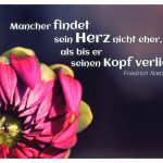 Blütenkopf mit dem Nietzsche Zitat: Mancher findet sein Herz nicht eher, als bis er seinen Kopf verliert. Friedrich Nietzsche
