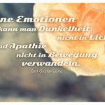 Rose mit Wassertropfen und dem Jung Zitat: Ohne Emotionen kann man Dunkelheit nicht in Licht und Apathie nicht in Bewegung verwandeln. Carl Gustav Jung