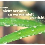 Wassertropfen auf Blättern mit dem Jung Zitat: Was uns nicht berührt, das verwandelt uns nicht. C.G. Jung