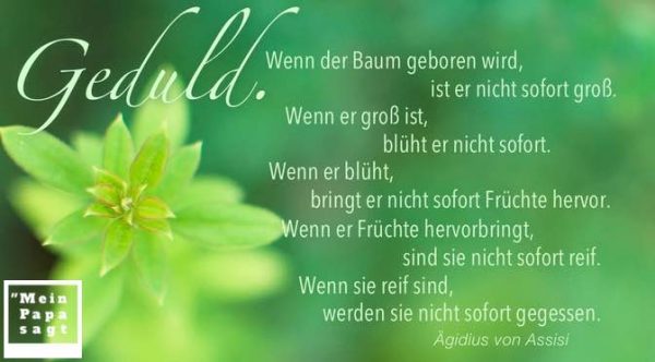 Thema Bäume Zitate und Weisheiten mit Bild