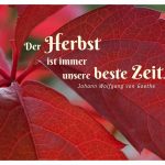 Herbstblatt mit dem Goethe Zitat: Der Herbst ist immer unsere beste Zeit. Johann Wolfgang von Goethe