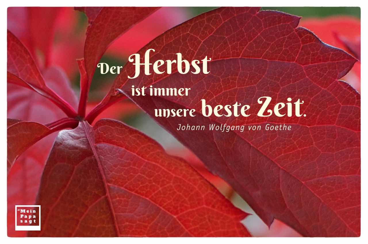 Herbstblatt mit dem Goethe Zitat: Der Herbst ist immer unsere beste Zeit. Johann Wolfgang von Goethe