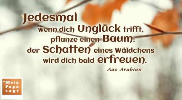 Thema Bäume Zitate und Weisheiten mit Bild