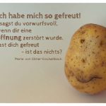 Kartoffelgesicht mit dem Ebner-Eschenbach Zitat: Und ich habe mich so gefreut! sagst du vorwurfsvoll, wenn dir eine Hoffnung zerstört wurde. Du hast dich gefreut - ist das nichts? Marie von Ebner-Eschenbach