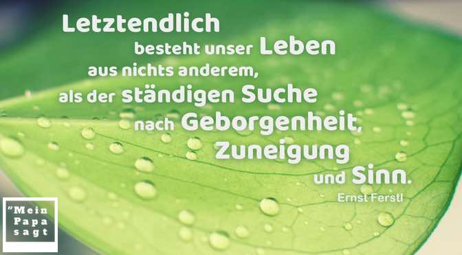 Letztendlich besteht unser Leben aus nichts anderem, als der ständigen Suche nach Geborgenheit, Zuneigung und Sinn