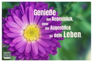 Genieße den Augenblick, denn der Augenblick ist dein Leben Sprüche