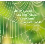 Spinnennetz mit dem Ringelnatz Zitat: Jeder spinnt auf seine Weise, der eine laut, der andere leise. Joachim Ringelnatz