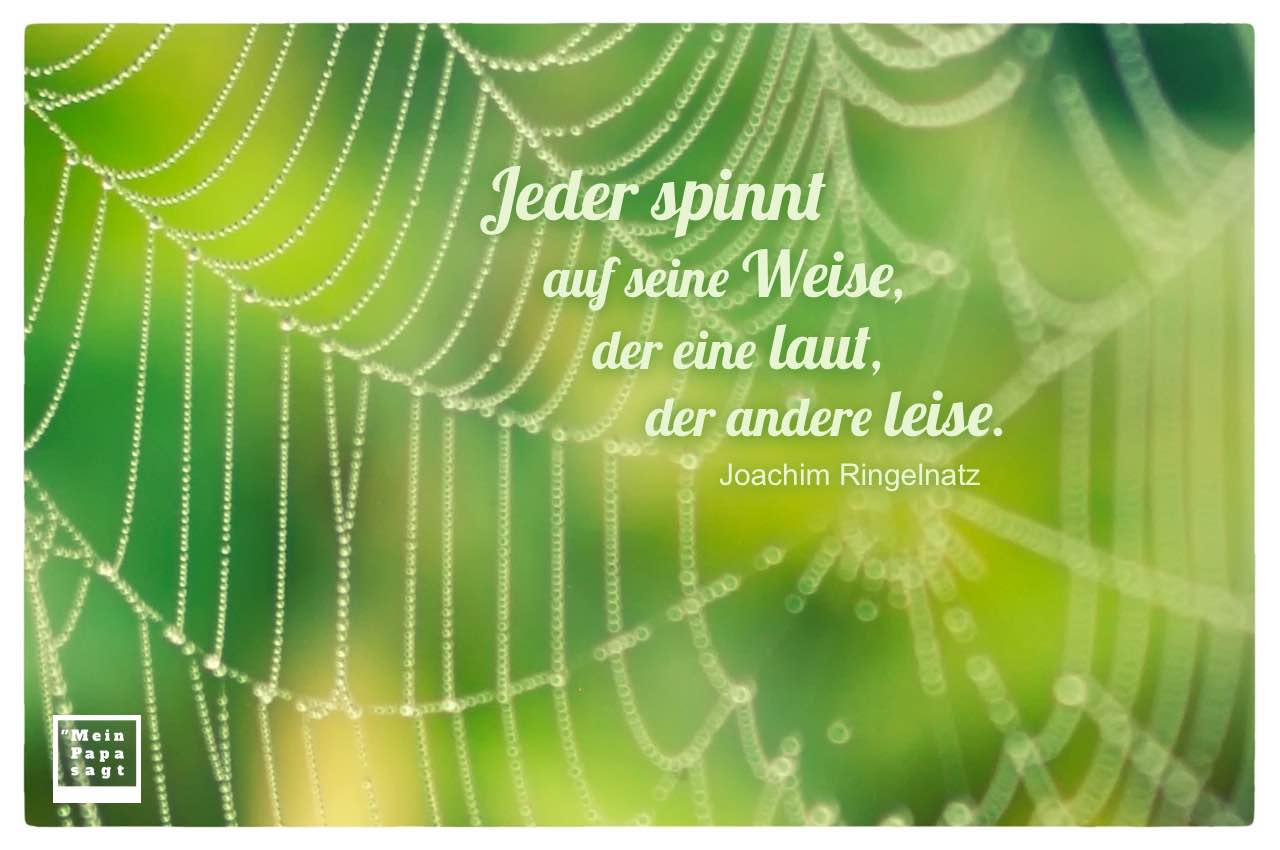 Spinnennetz mit Mein Papa sagt Joachim Ringelnatz Zitate Bilder: Jeder spinnt auf seine Weise, der eine laut, der andere leise. Joachim Ringelnatz