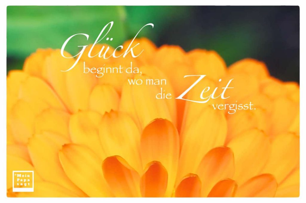 Glück beginnt da, wo man die Zeit vergisst Mein Papa sagt Sprüche