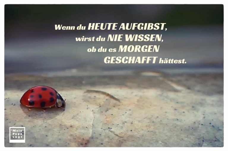 Wenn du heute aufgibst, wirst du nie wissen, ob du es geschafft