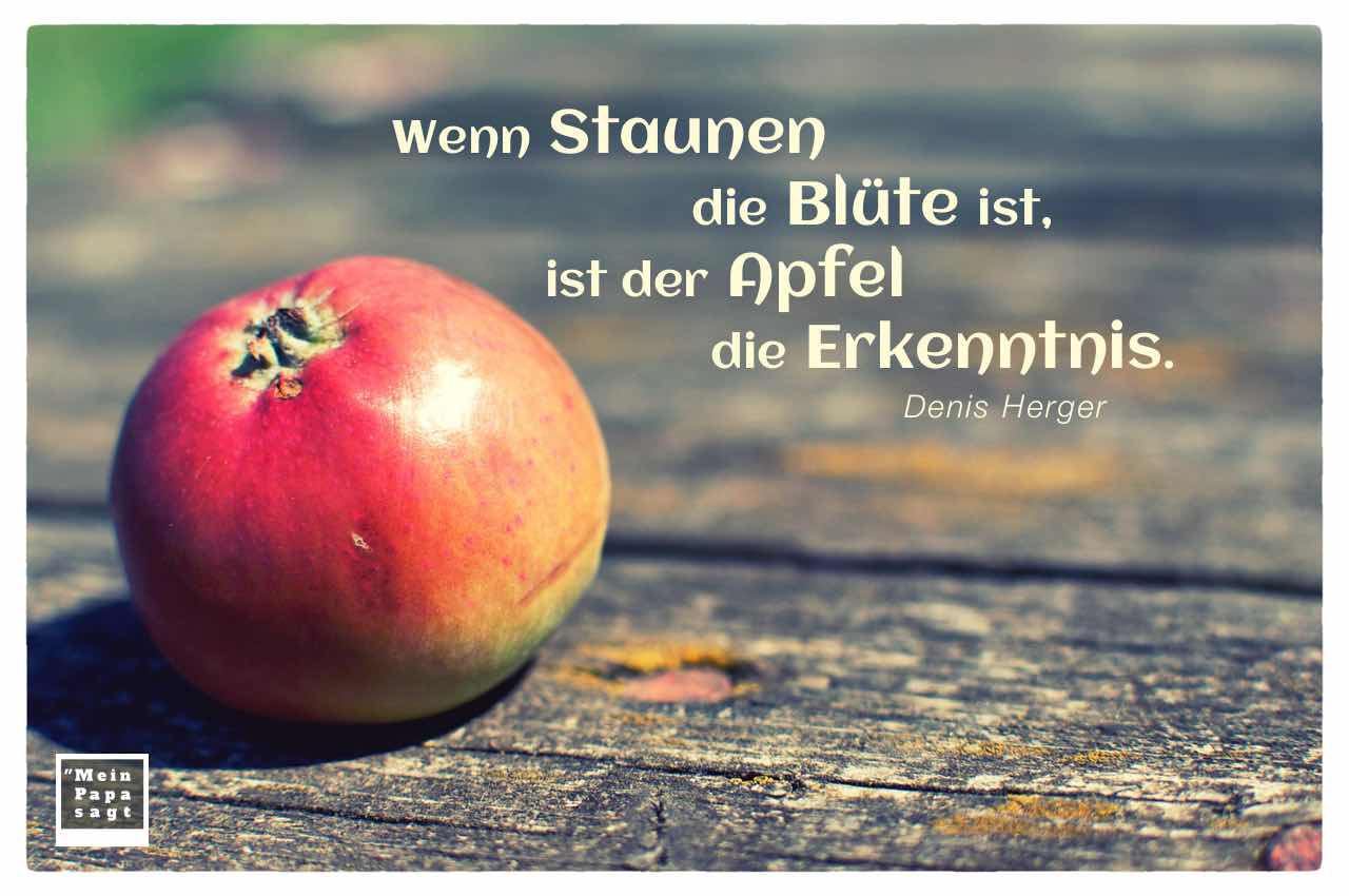 Apfel auf Holztisch mit dem Herger Zitat: Wenn Staunen die Blüte ist, ist der Apfel die Erkenntnis. Denis Herger