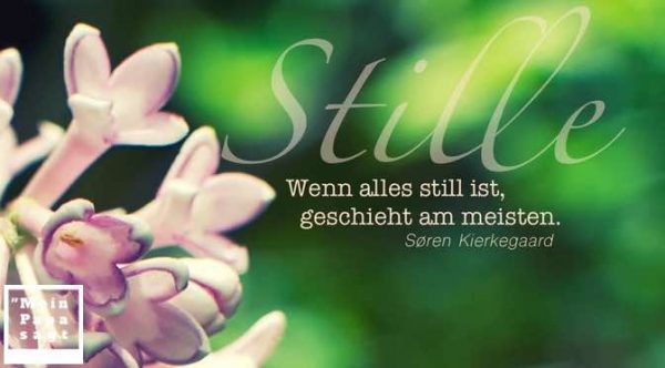 Thema Stille Zitate und Weisheiten mit Bild