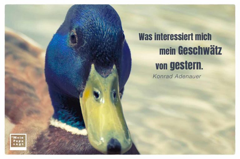 Was interessiert mich mein Geschwätz von gestern - Konrad Adenauer