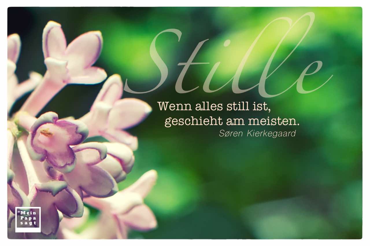Blüten mit dem Kierkegaard Zitate-Bild: Wenn alles still ist, geschieht am meisten. Søren Kierkegaard