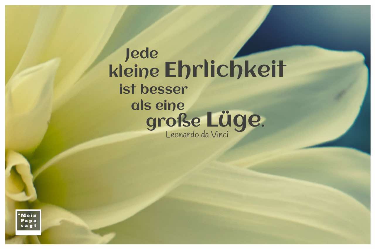 Blüte mit dem da Vinci Zitate Bild: Jede kleine Ehrlichkeit ist besser als ...