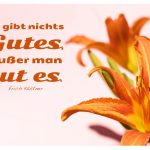 Lilien mit dem Kästner Zitate Bild: Es gibt nichts Gutes, außer man tut es. Erich Kästner