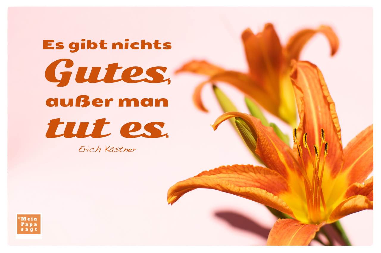 Lilien mit dem Kästner Zitate Bild: Es gibt nichts Gutes, außer man tut es. Erich Kästner