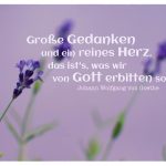 Lavendel mit dem Goethe Bilder Zitat: Große Gedanken und ein reines Herz, das ist's, was wir von Gott erbitten sollten. Johann Wolfgang von Goethe