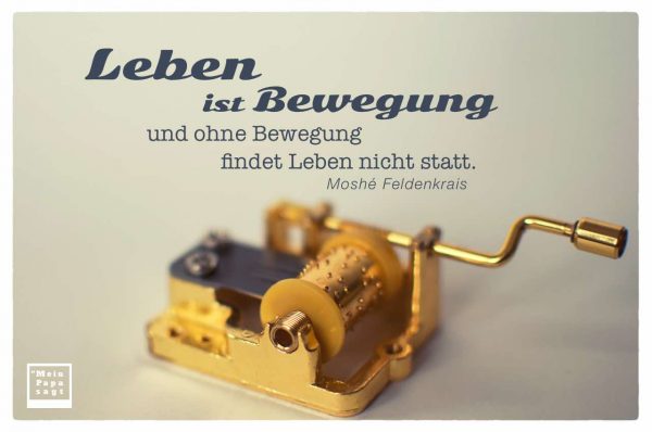 Leben ist Bewegung und ohne Bewegung findet Leben nicht statt