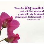 Blüte mit Hammarskjöld Bilder Zitat: Wenn der Weg unendlich scheint und plötzlich nichts mehr gehen will, wie du wünschst - gerade dann darfst du nicht zaudern. Dag Hammarskjöld
