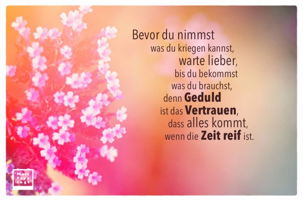 Bevor du nimmst was du kriegen kannst, warte lieber, bis du bekommst