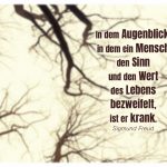 Winterbäume mit dem Freud Zitate Bild: In dem Augenblick, in dem ein Mensch den Sinn und den Wert des Lebens bezweifelt, ist er krank. Sigmund Freud