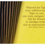 Afrikanische Tigermaske mit Gasset Bilder Zitat: Während der Tiger nicht aufhören kann, Tiger zu sein, sich nicht enttigern kann, lebt der Mensch in ständiger Gefahr, sich zu entmenschlichen. José Ortega y Gasset