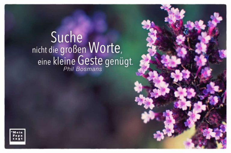 Suche nicht die großen Worte, eine kleine Geste genügt Phil Bosmans