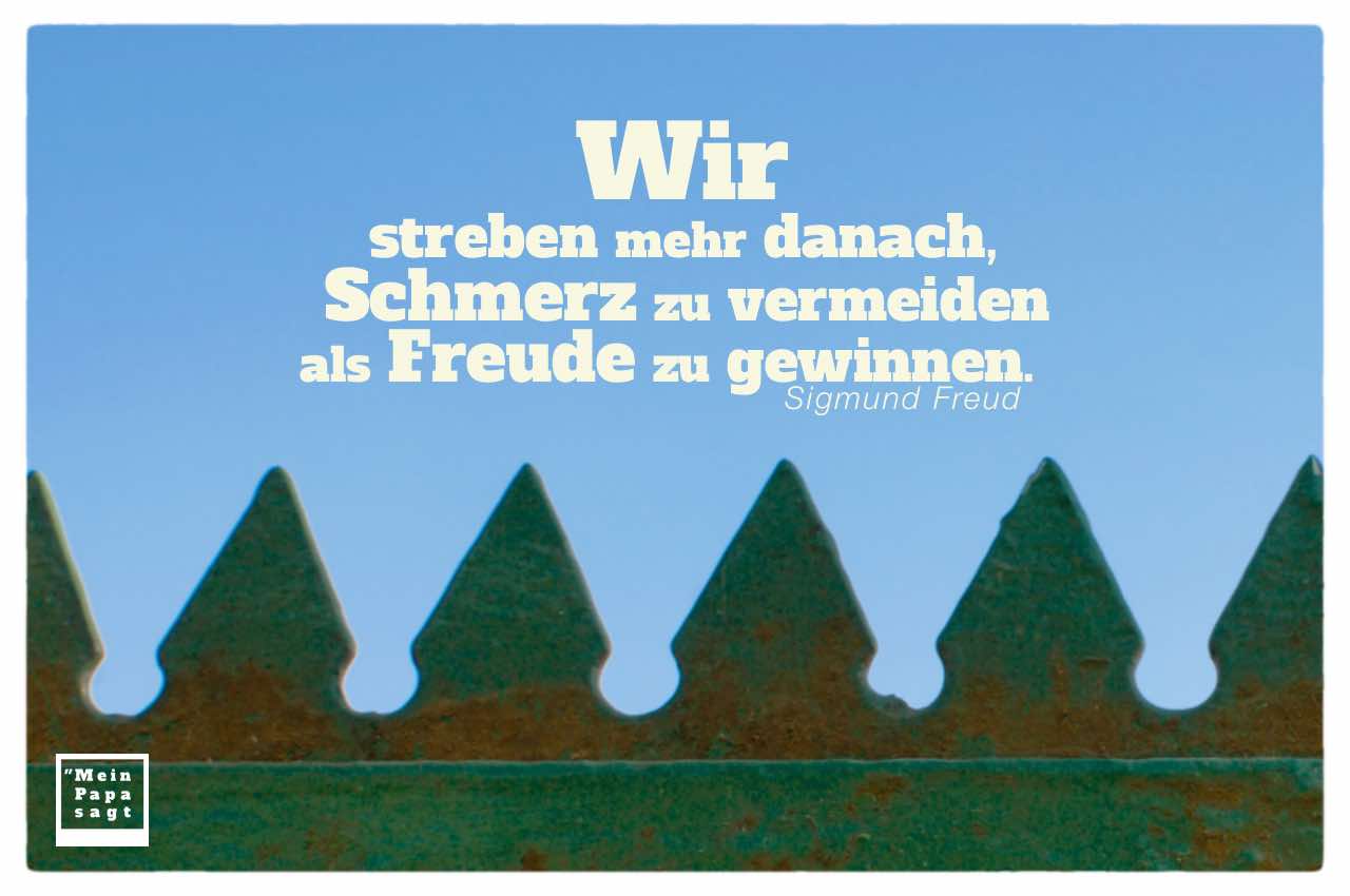 Zacken am Zaun mit Freud Zitate Bildern: Wir streben mehr danach, Schmerz zu vermeiden als Freude zu gewinnen. Sigmund Freud