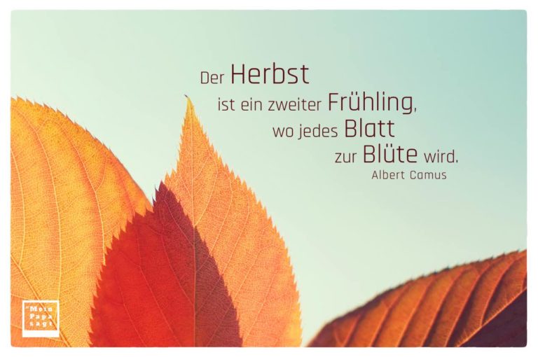 Der Herbst ist ein zweiter Frühling, wo jedes Blatt zur Blüte wird