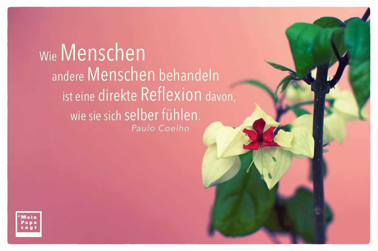 Blüte Pflanze mit Coelho Zitate Bilder: Wie Menschen andere Menschen behandeln ist eine direkte Reflexion davon, wie sie sich selber fühlen. Paulo Coelho