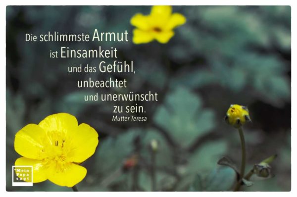 Die schlimmste Armut ist Einsamkeit und das Gefühl, unbeachtet und un...