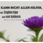Astern mit Ebner-Eschenbach Zitate Bilder: Man kann nicht allen helfen, sagt der Engherzige und hilft keinem. Marie von Ebner-Eschenbach