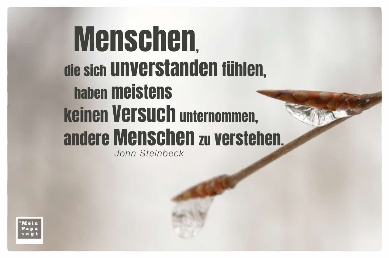 Eiszapfen an Zweig mit Mein Papa sagt John Steinbeck Zitate Bilder: Menschen, die sich unverstanden fühlen, haben meistens keinen Versuch unternommen, andere Menschen zu verstehen. John Steinbeck