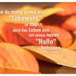Herbstlaub mit Coelho Zitate Bilder: Wenn du mutig genug bist, "Lebewohl" zu sagen, wird das Leben dich mit einem neuen "Hallo" belohnen. Paulo Coelho
